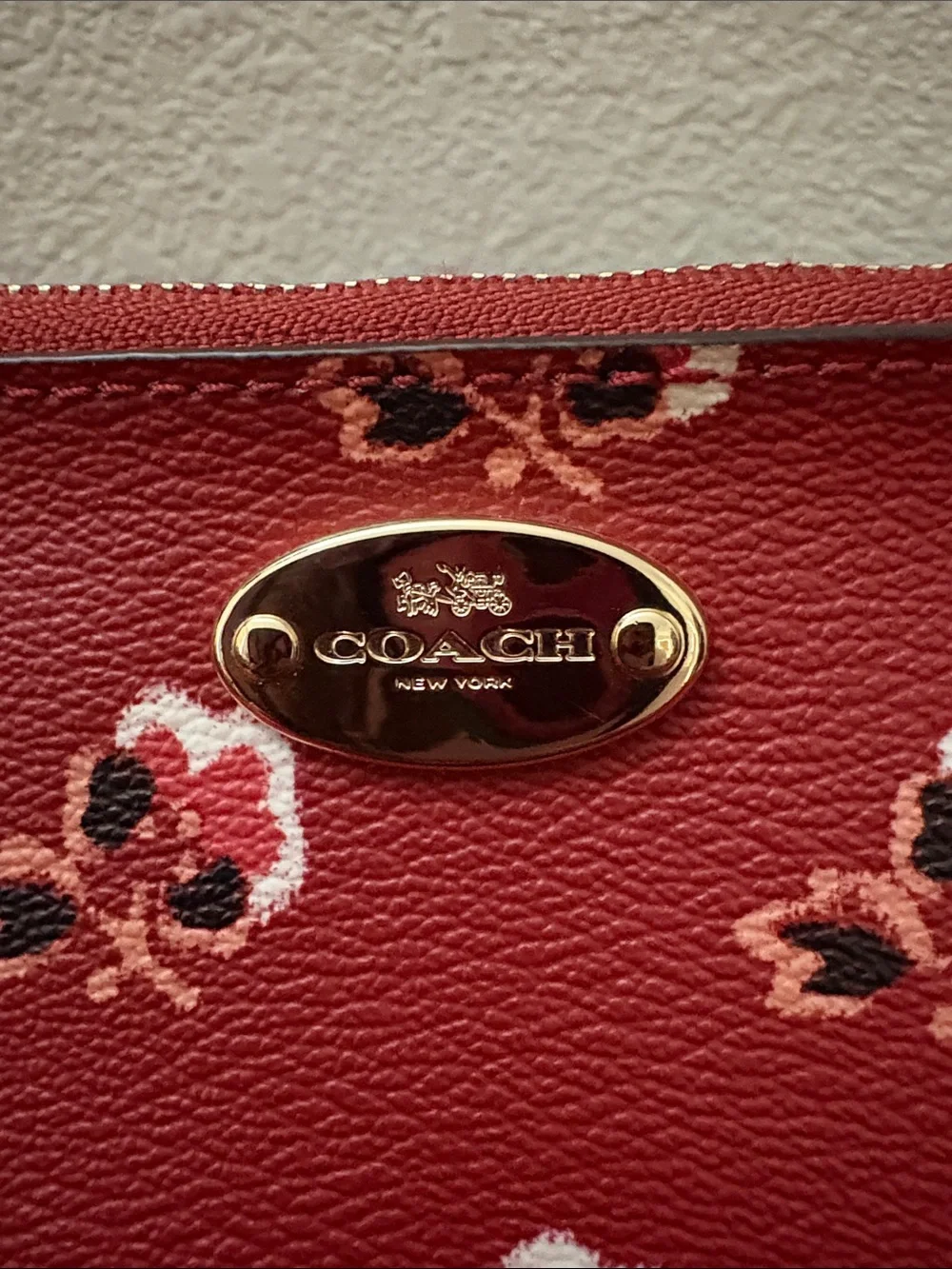 Coach Quinn Bramble Rose Crossbody Bag with mystery bundles